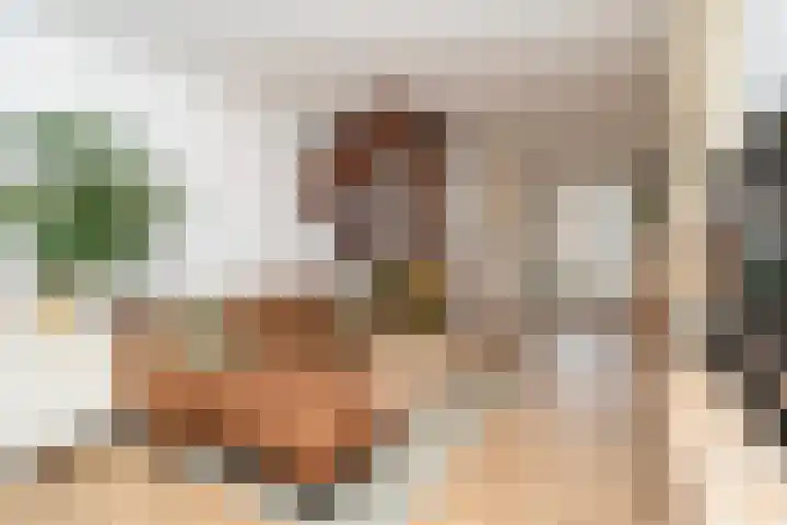Leharstraat 65 Tilburg thumbnail 8
