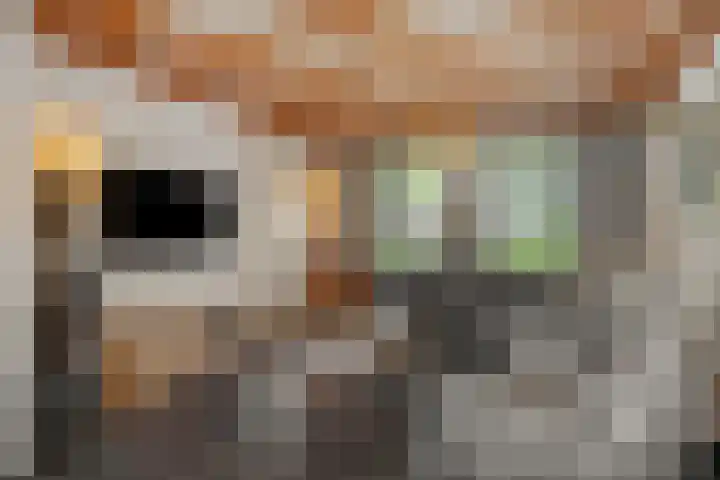Leharstraat 7 Heesch thumbnail 11