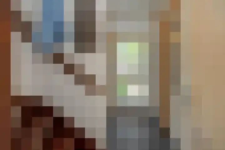 Leharstraat 7 Heesch thumbnail 15