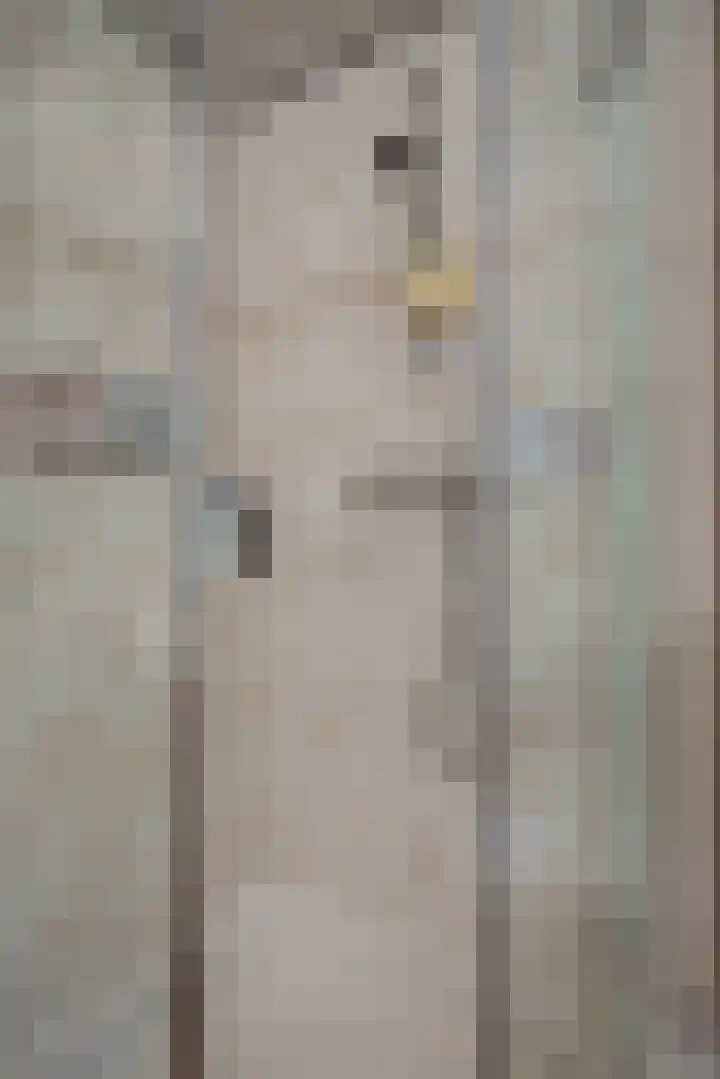 Leharstraat 7 Heesch thumbnail 24
