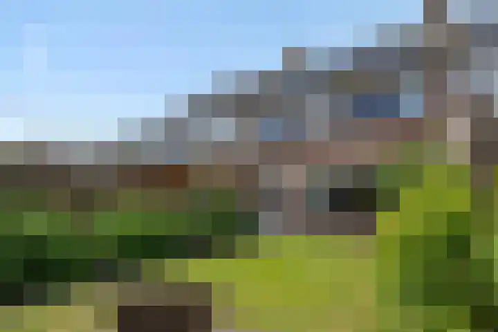 Leharstraat 7 Heesch thumbnail 29