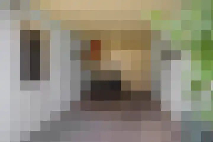 Leharstraat 7 Heesch thumbnail 32