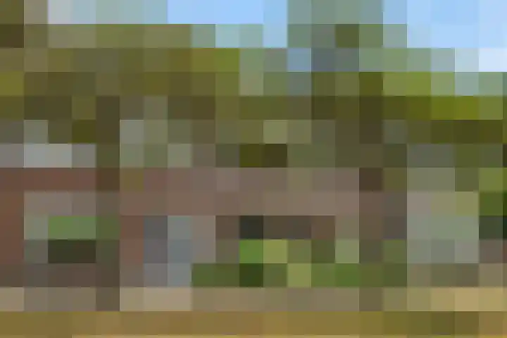 Leharstraat 7 Heesch thumbnail 37