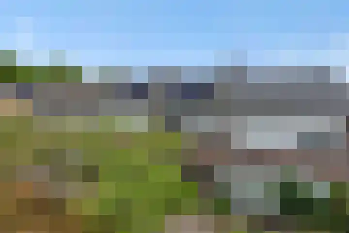 Leharstraat 7 Heesch thumbnail 41