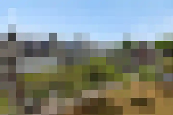 Leharstraat 7 Heesch thumbnail 43