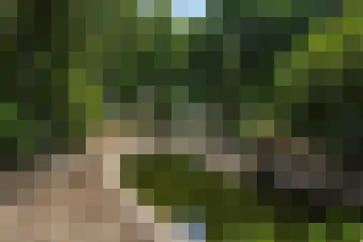 Leharstraat 7 Heesch thumbnail 46