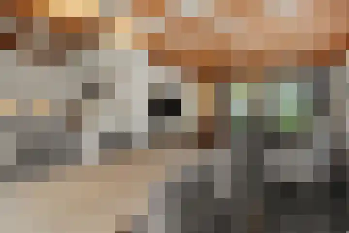 Leharstraat 7 Heesch thumbnail 7