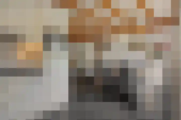 Leharstraat 7 Heesch thumbnail 9