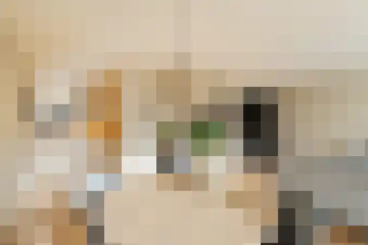 Lehárstraat 8 Capelle aan den IJssel thumbnail 15