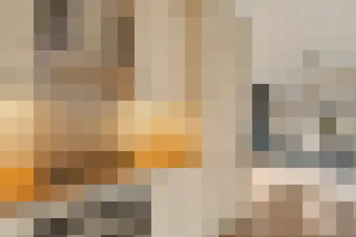 Lehárstraat 8 Capelle aan den IJssel thumbnail 17