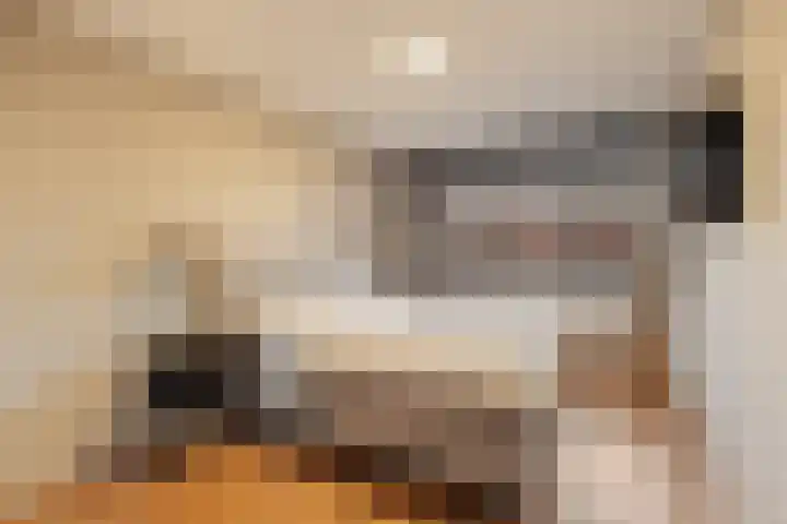 Lehárstraat 8 Capelle aan den IJssel thumbnail 19