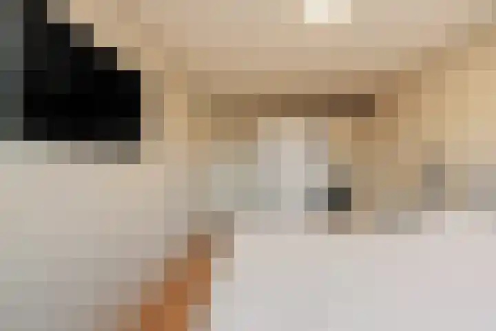 Lehárstraat 8 Capelle aan den IJssel thumbnail 21