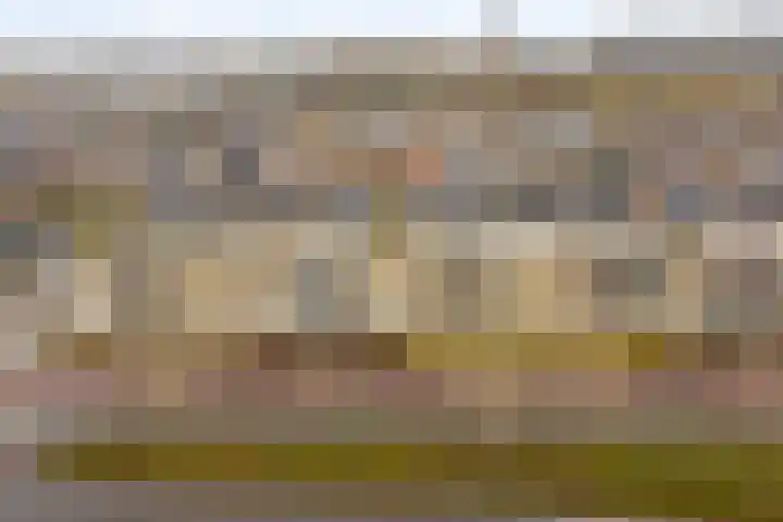 Lehárstraat 8 Capelle aan den IJssel thumbnail 28