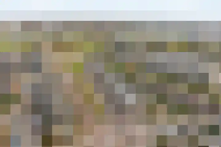 Lehárstraat 8 Capelle aan den IJssel thumbnail 34
