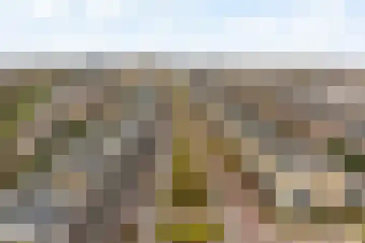 Lehárstraat 8 Capelle aan den IJssel thumbnail 4