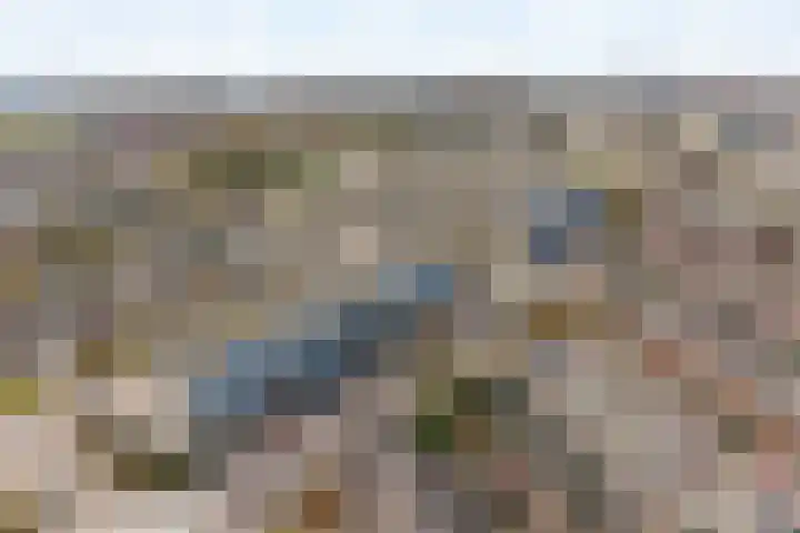 Lehárstraat 8 Capelle aan den IJssel thumbnail 5