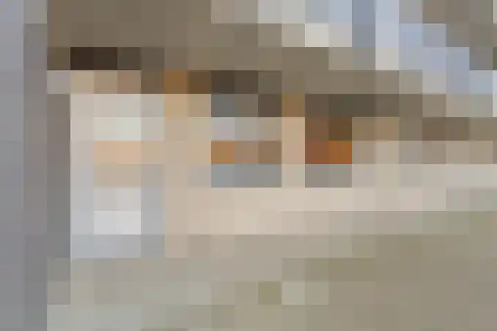 Lehárstraat 8 Capelle aan den IJssel thumbnail 7