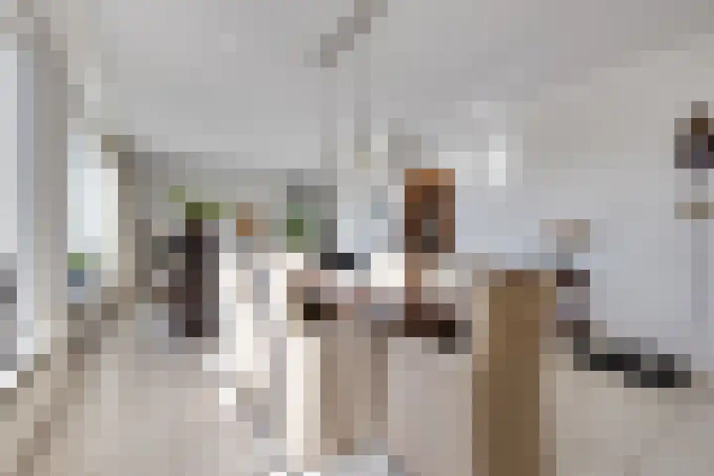 Léharstraat 8 Halsteren thumbnail 10