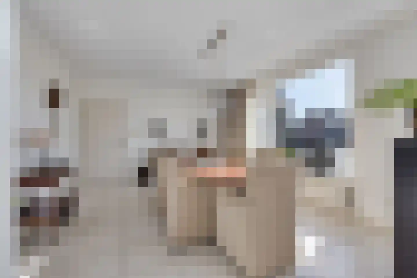 Léharstraat 8 Halsteren thumbnail 11