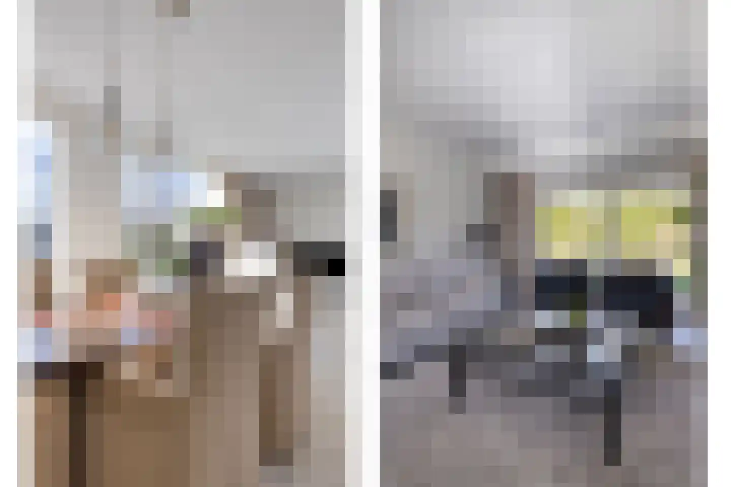 Léharstraat 8 Halsteren thumbnail 13