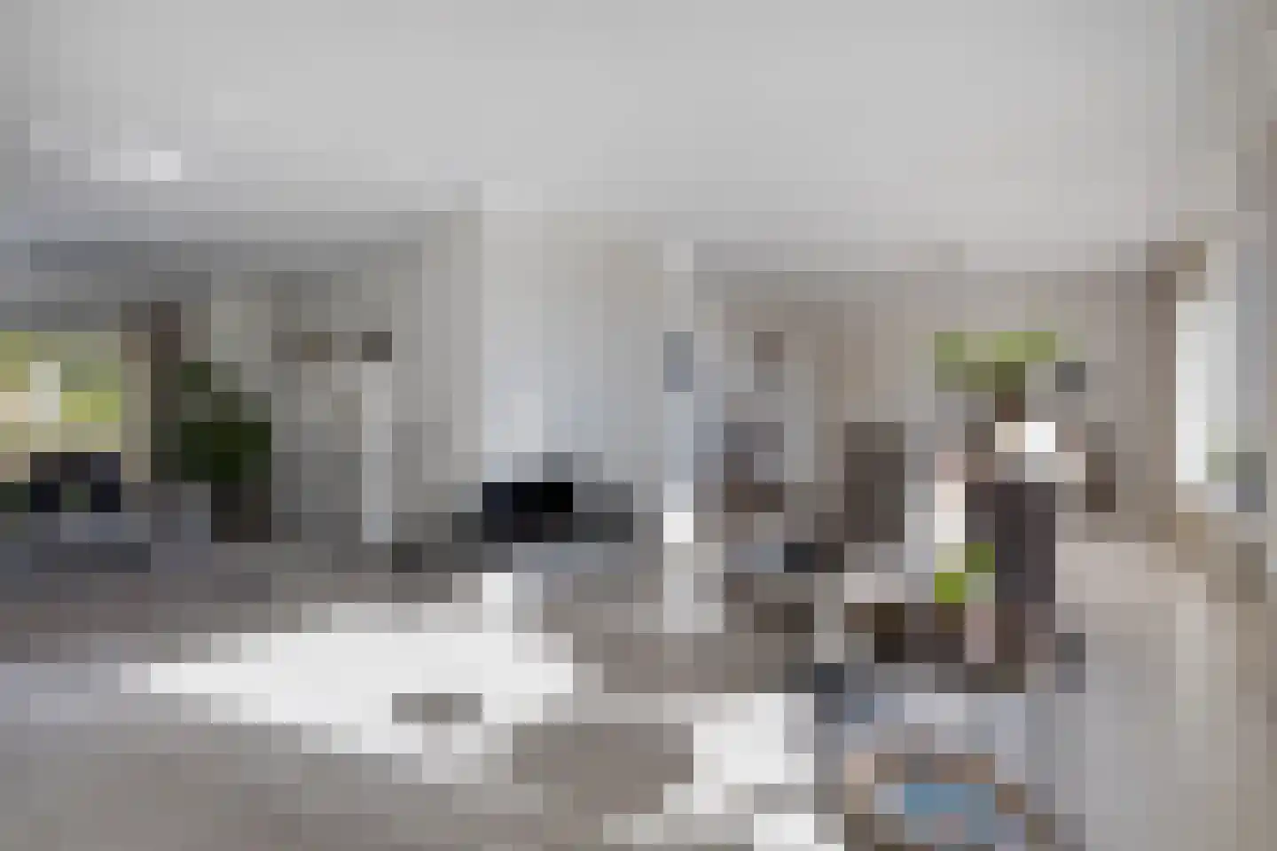 Léharstraat 8 Halsteren thumbnail 16