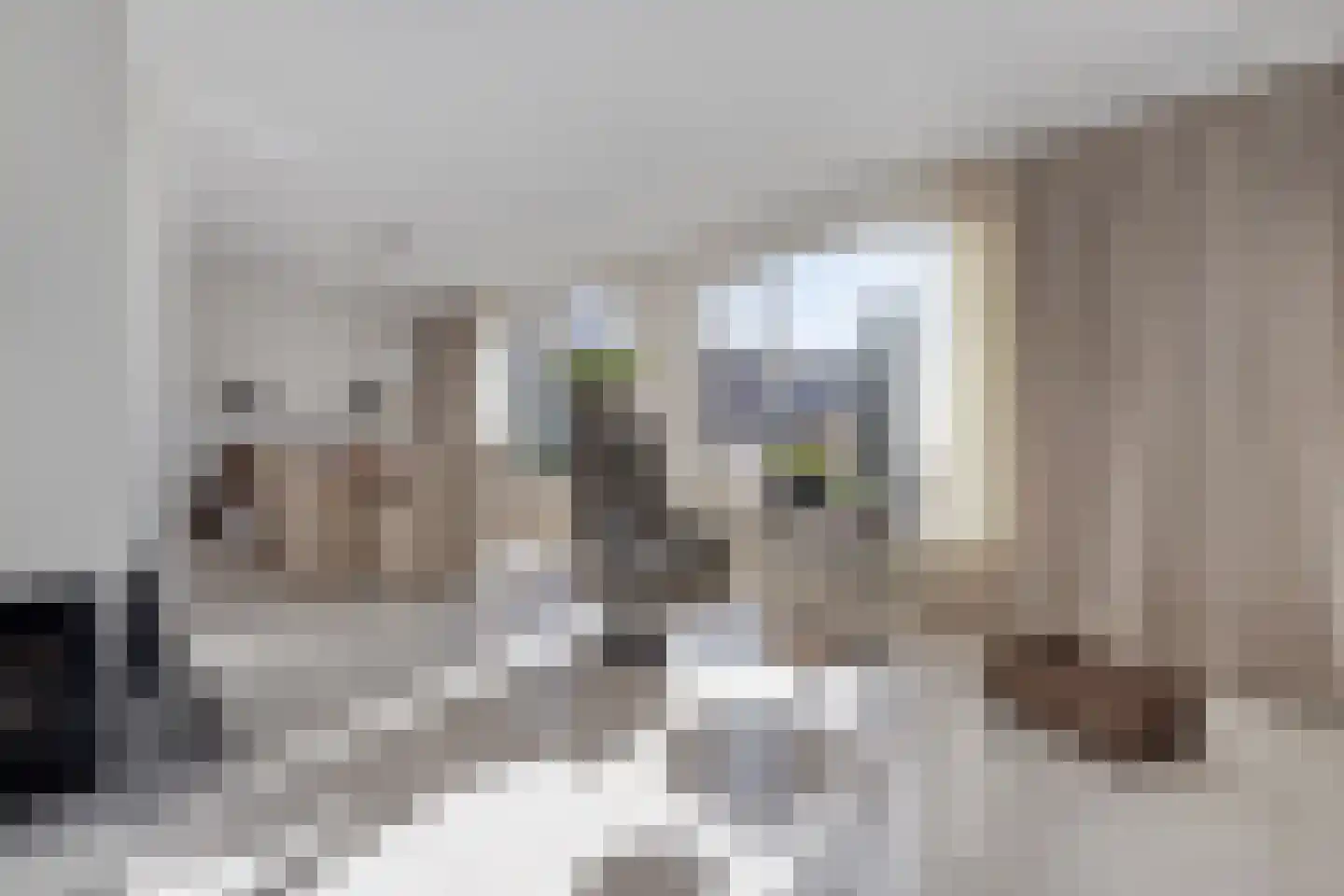 Léharstraat 8 Halsteren thumbnail 18
