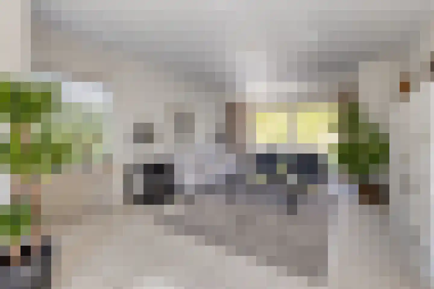 Léharstraat 8 Halsteren thumbnail 19