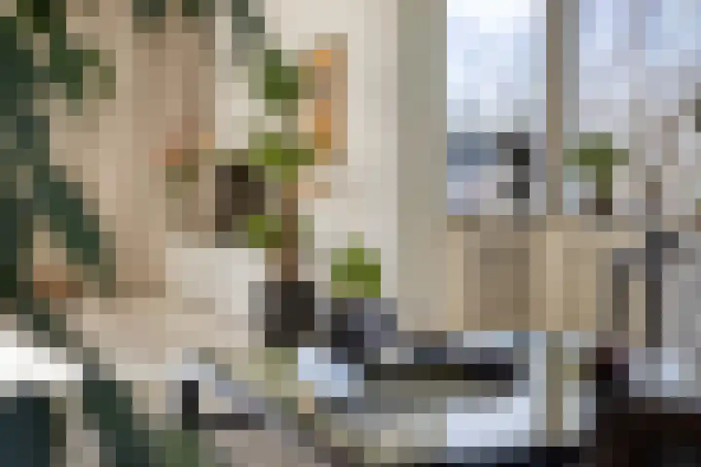 Léharstraat 8 Halsteren thumbnail 21