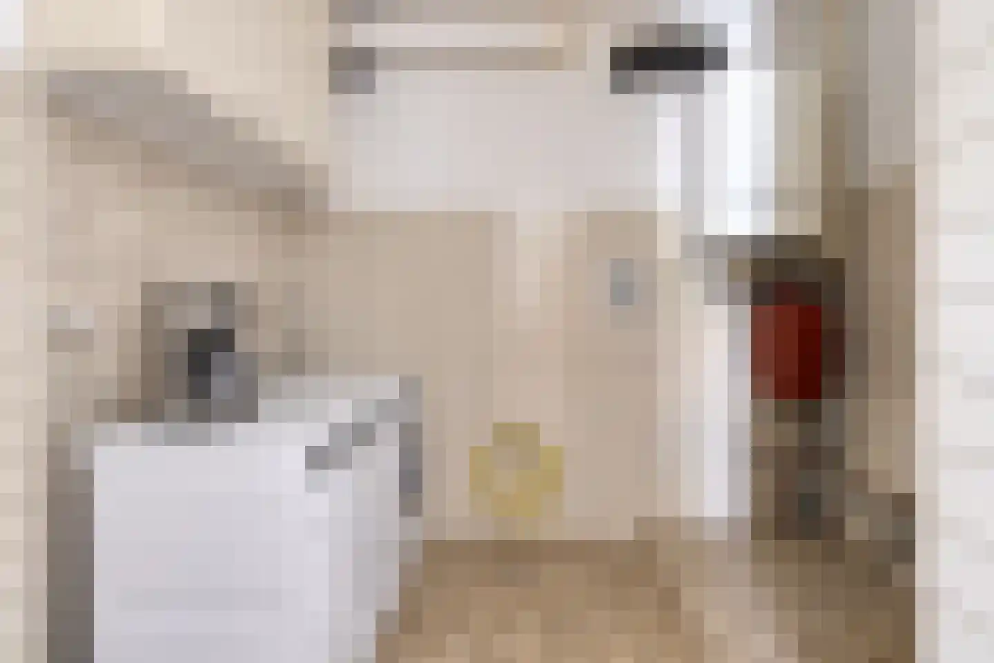Léharstraat 8 Halsteren thumbnail 26