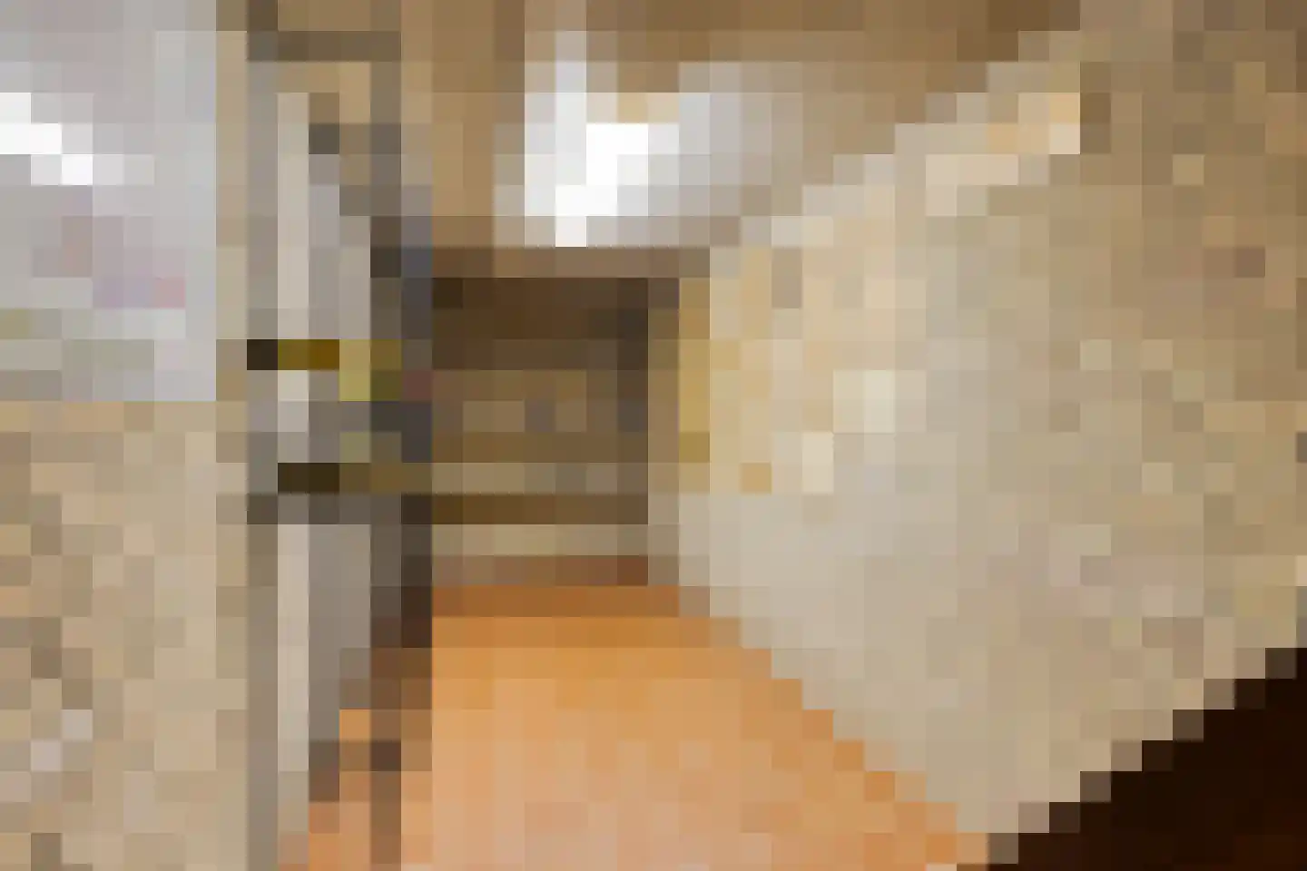 Léharstraat 8 Halsteren thumbnail 27