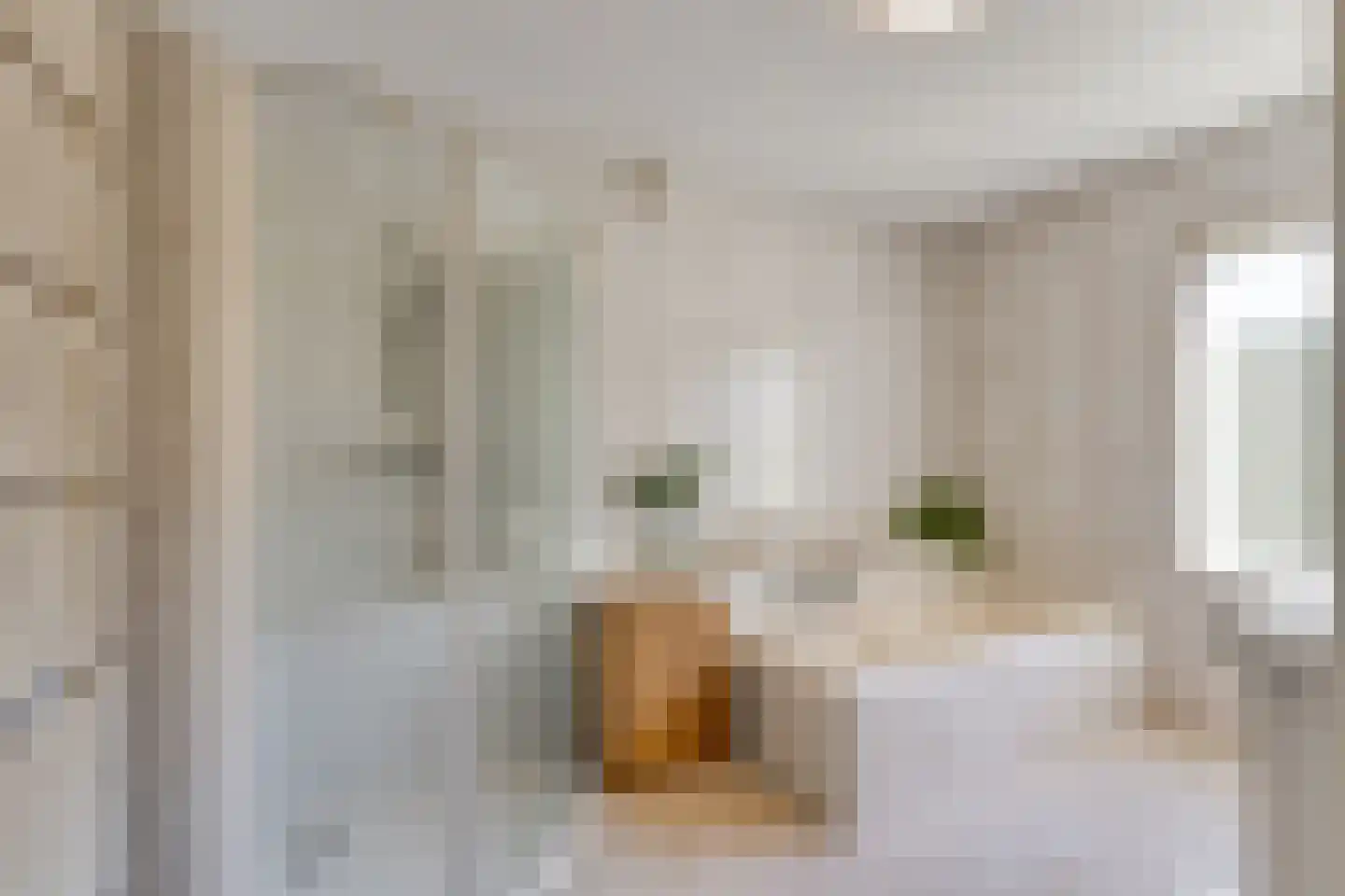 Léharstraat 8 Halsteren thumbnail 32