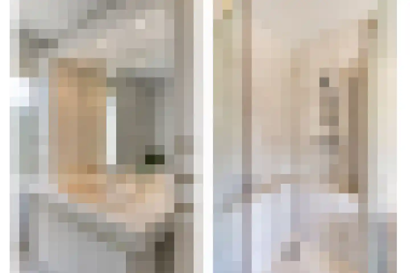 Léharstraat 8 Halsteren thumbnail 33