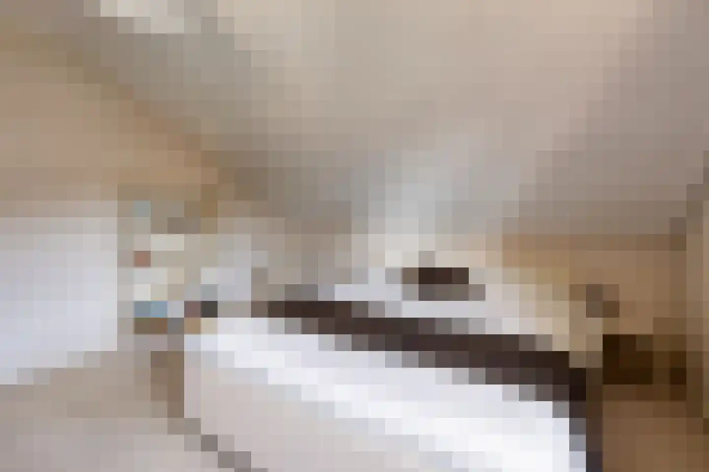 Léharstraat 8 Halsteren thumbnail 37