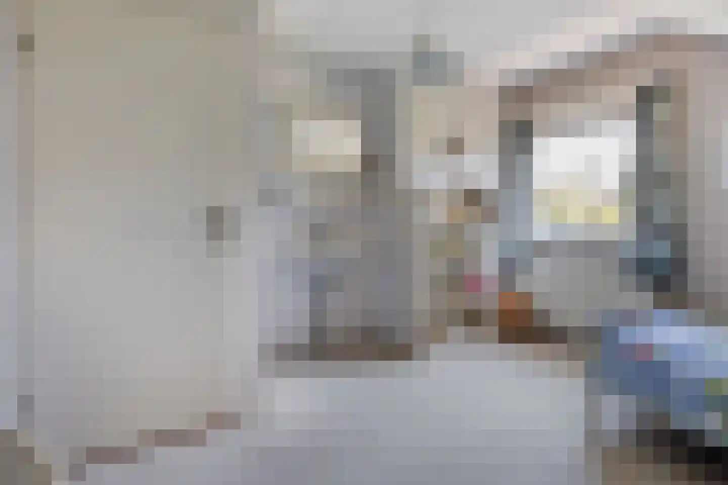 Léharstraat 8 Halsteren thumbnail 39