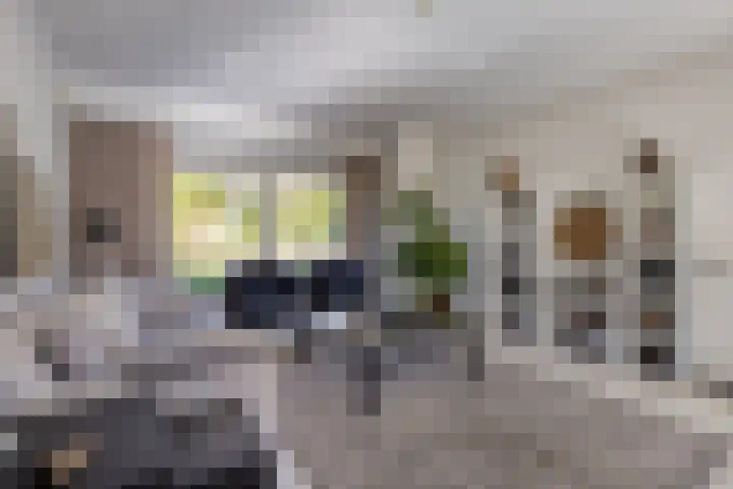 Léharstraat 8 Halsteren thumbnail 4