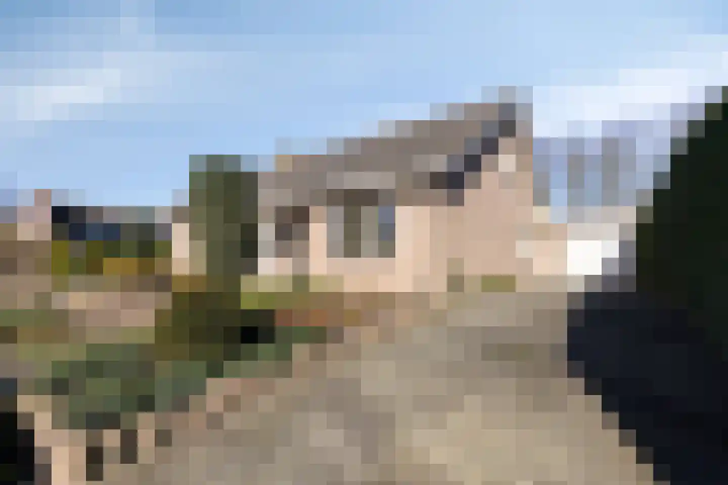 Léharstraat 8 Halsteren thumbnail 51