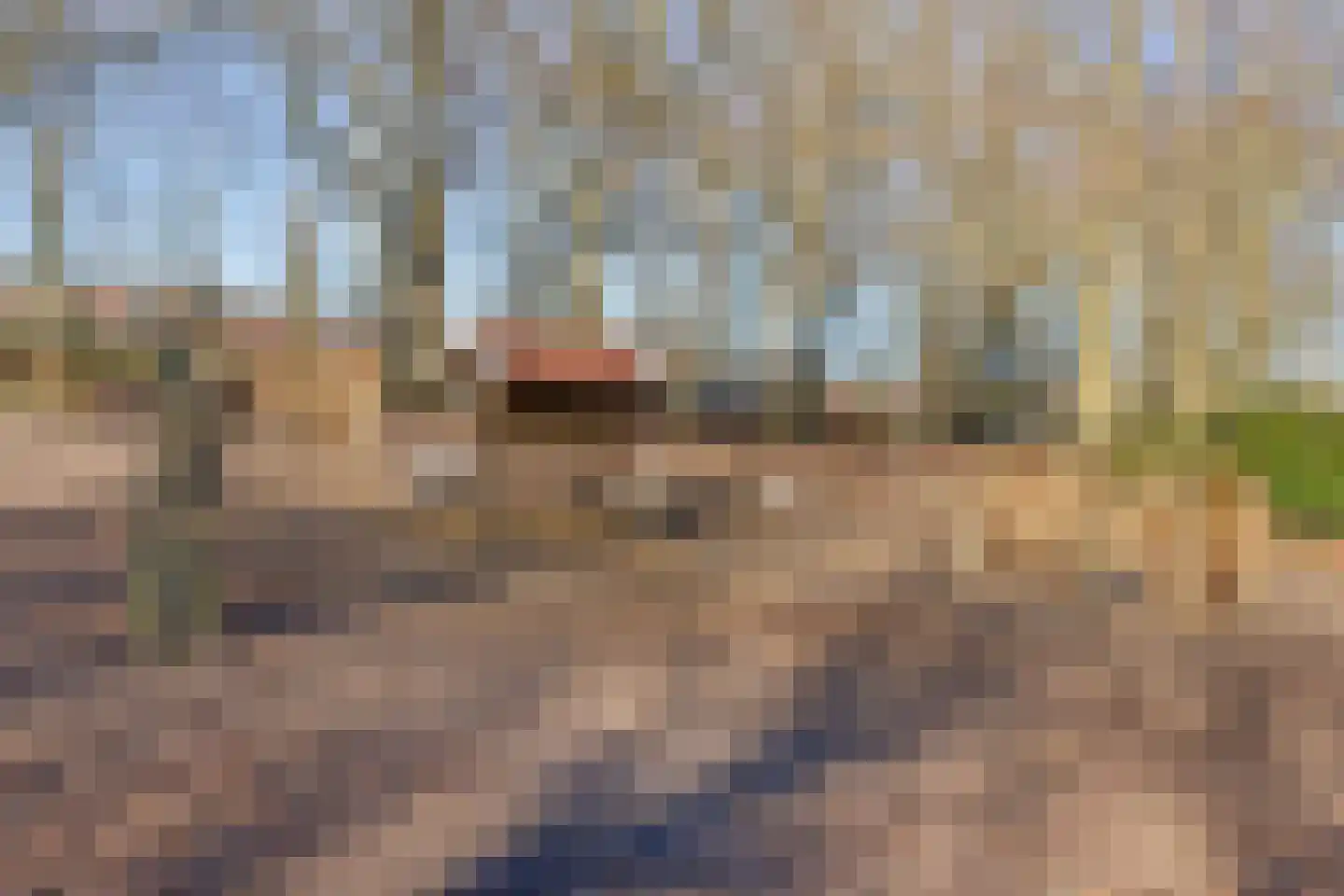 Léharstraat 8 Halsteren thumbnail 53