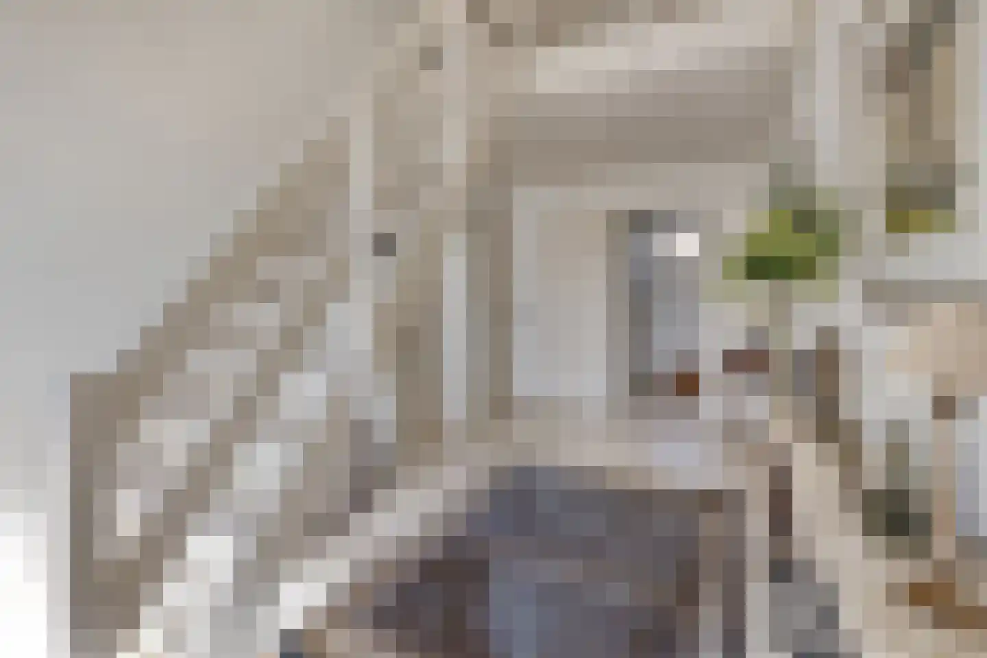 Léharstraat 8 Halsteren thumbnail 7