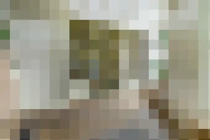 Leharstraat 91 Tilburg thumbnail 10