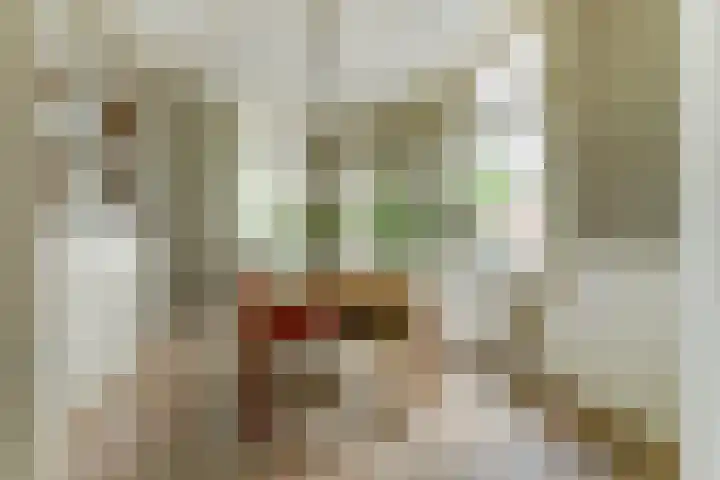 Leharstraat 91 Tilburg thumbnail 13