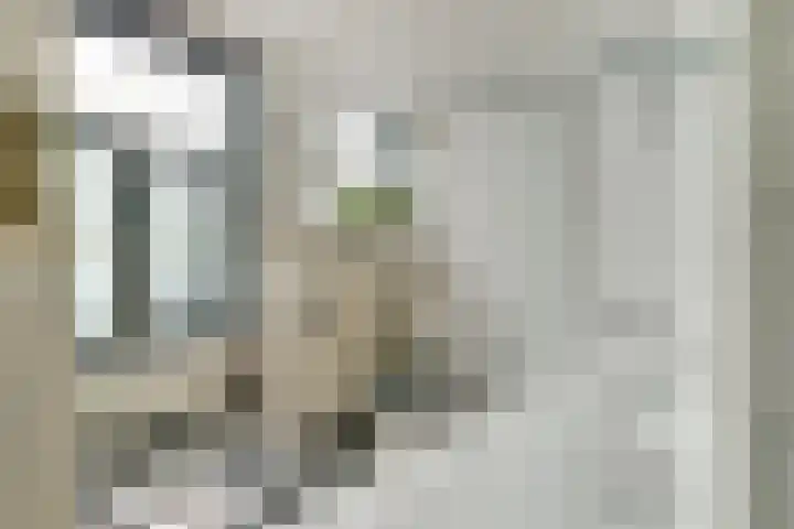 Leharstraat 91 Tilburg thumbnail 32