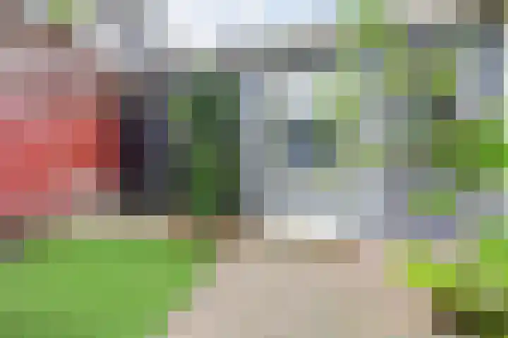 Leharstraat 91 Tilburg thumbnail 37