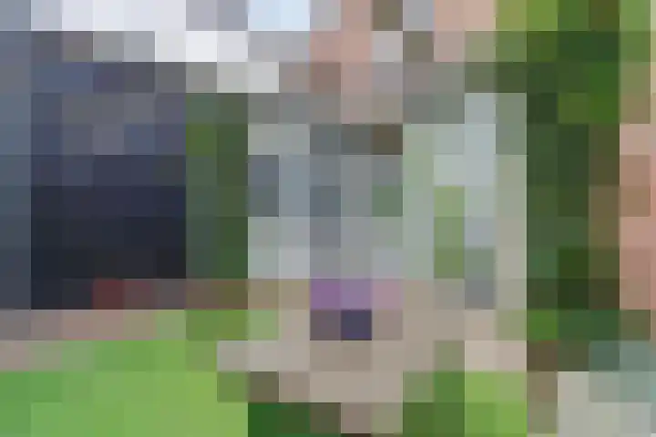 Leharstraat 91 Tilburg thumbnail 42