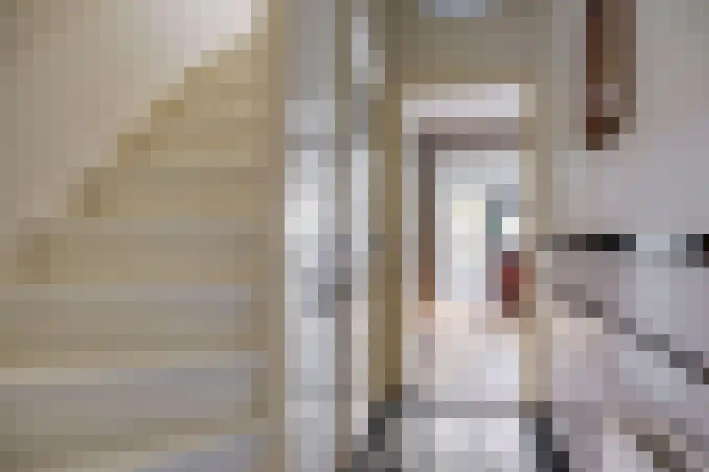 Lehmkuhlstraat 14 Kampen thumbnail 14