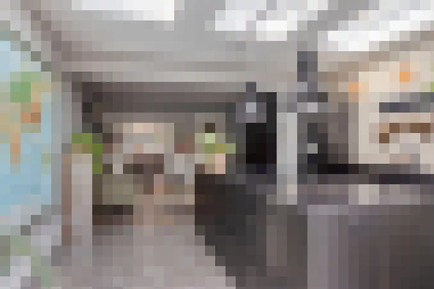 Lehmkuhlstraat 14 Kampen thumbnail 23