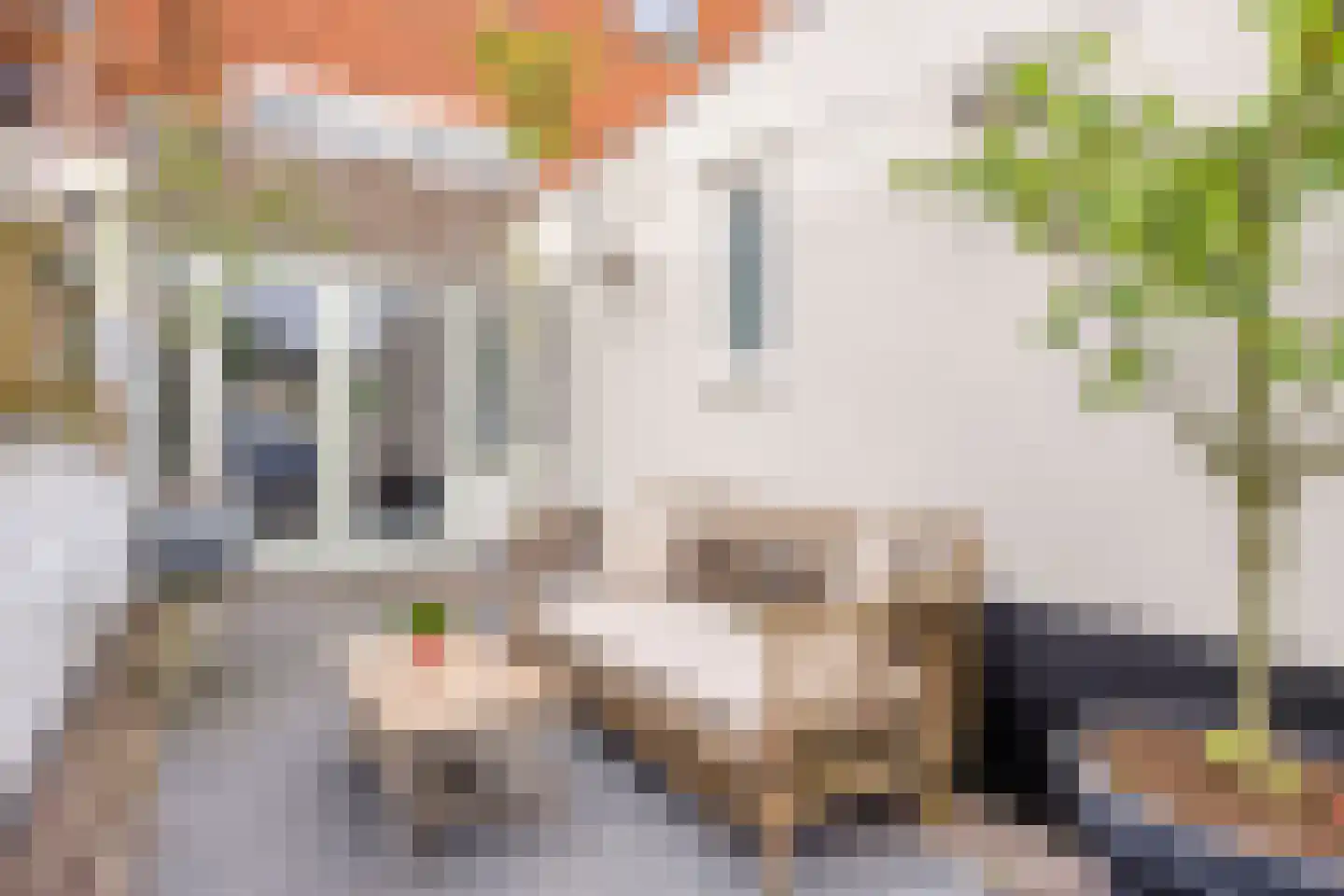 Lehmkuhlstraat 14 Kampen thumbnail 43
