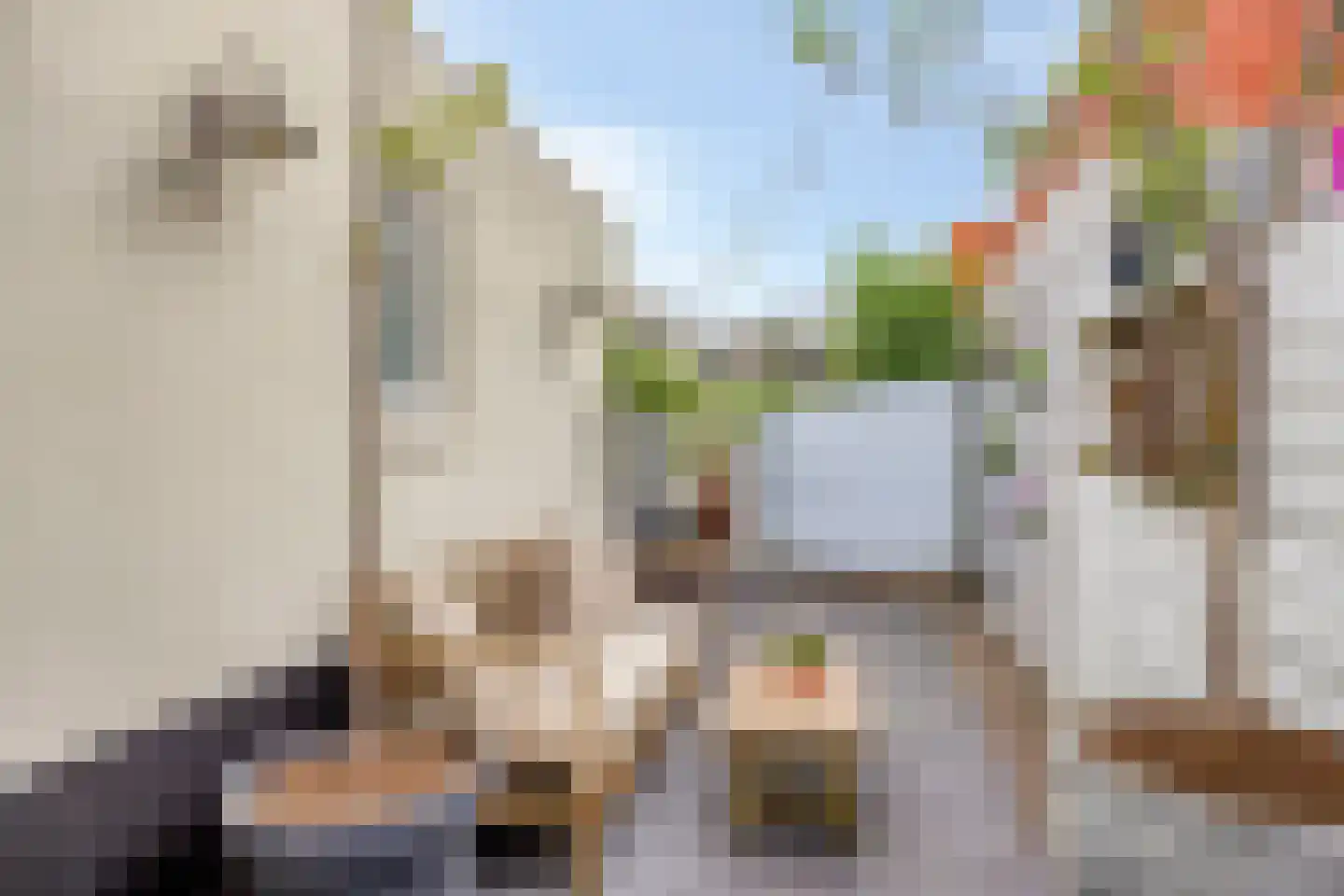 Lehmkuhlstraat 14 Kampen thumbnail 6