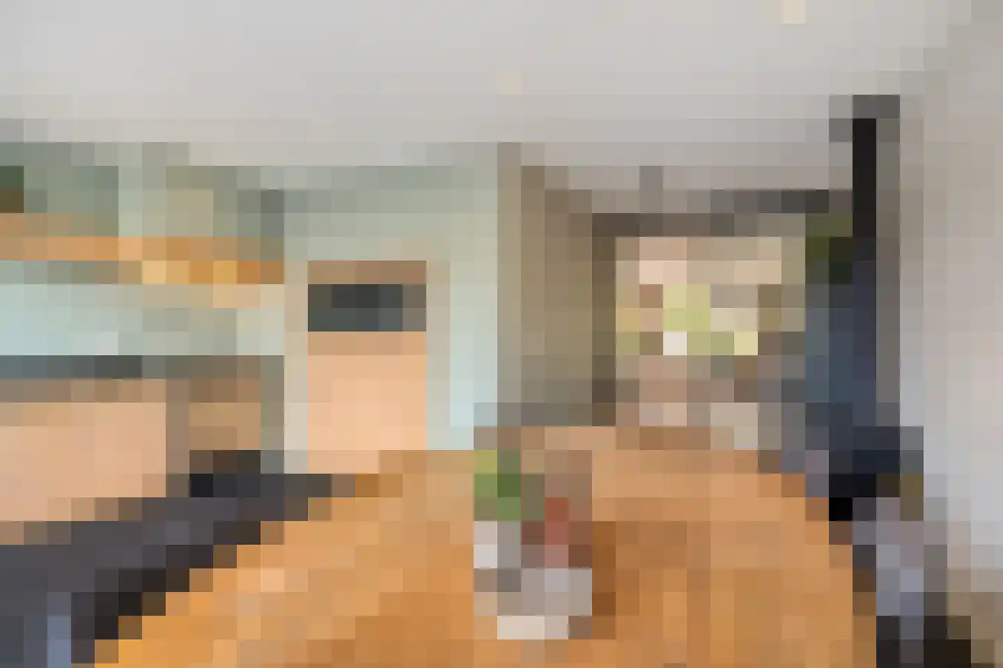 Leiakker 20 Waarland thumbnail 25