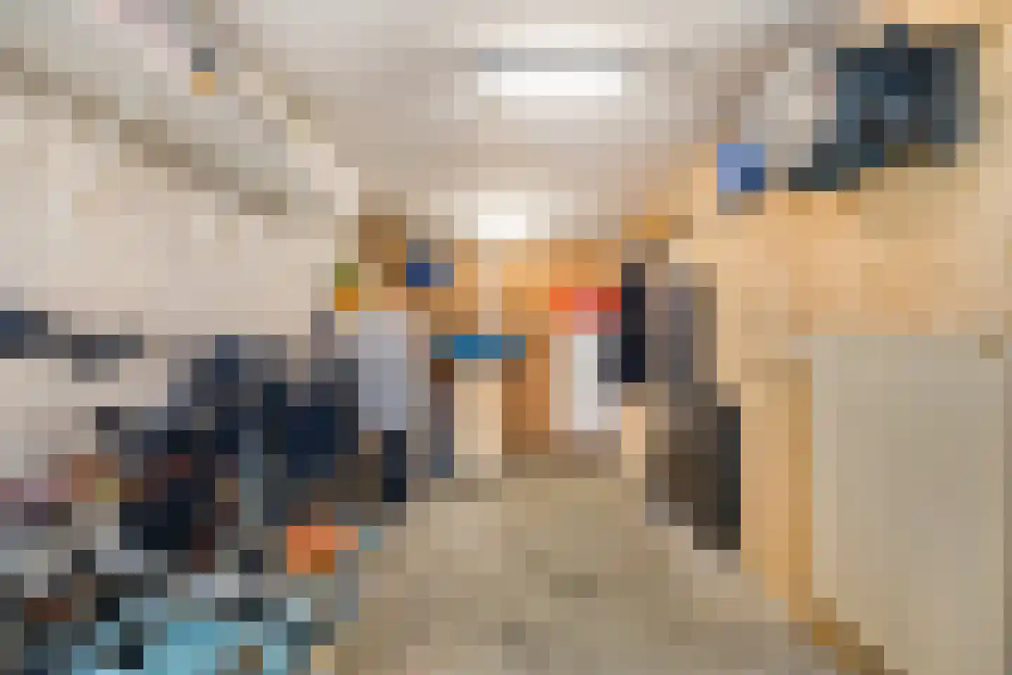 Leiakker 20 Waarland thumbnail 27