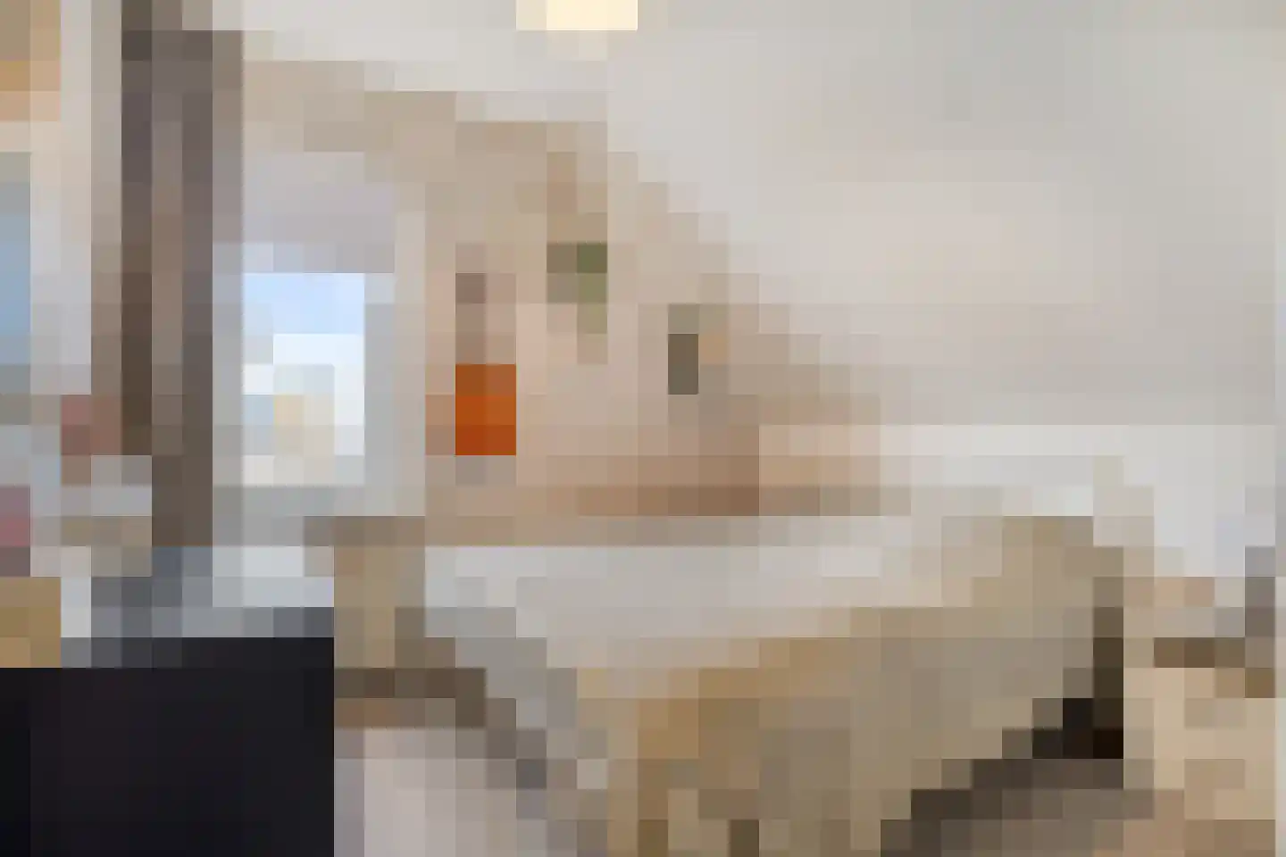 Leiakker 20 Waarland thumbnail 30